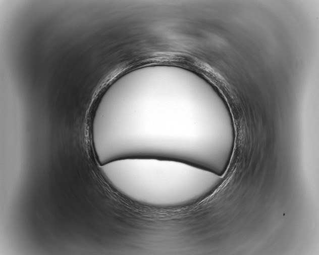 X0000098221362200804241124