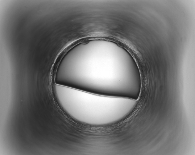 X0000098221364200804241124