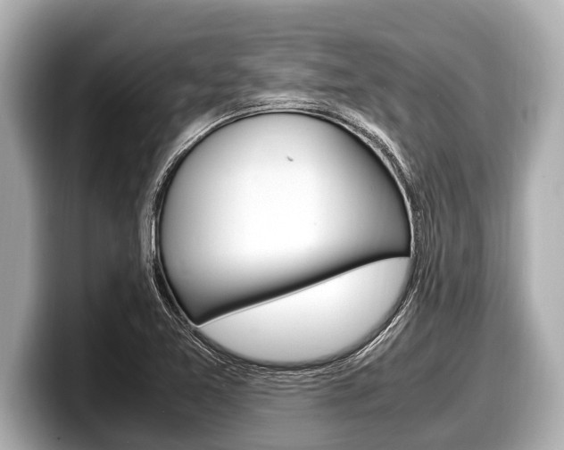 X0000098221365200804241124