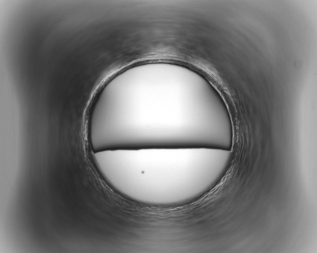 X0000098221366200804241124