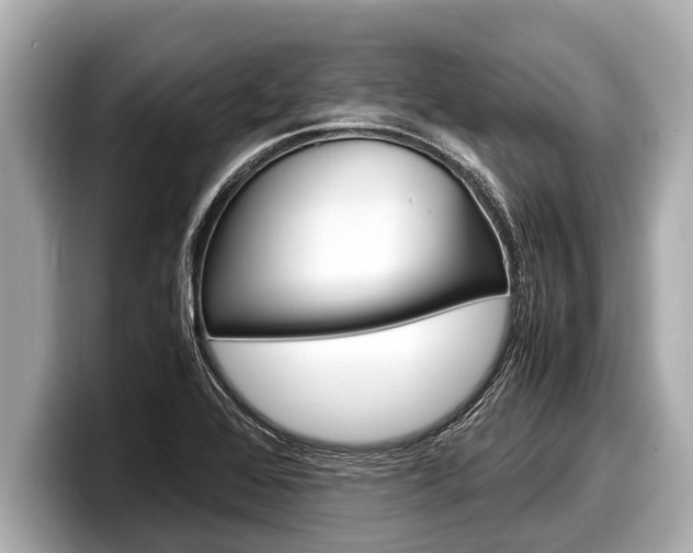 X0000098221368200804241124
