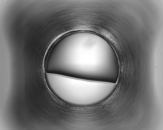 X0000098221372200804241124