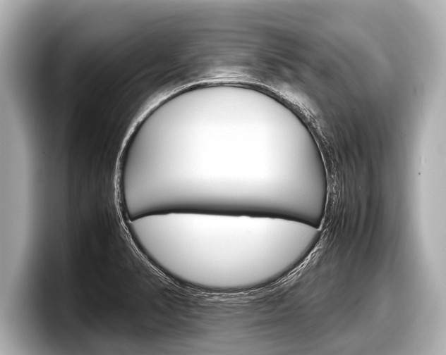X0000098221374200804241124