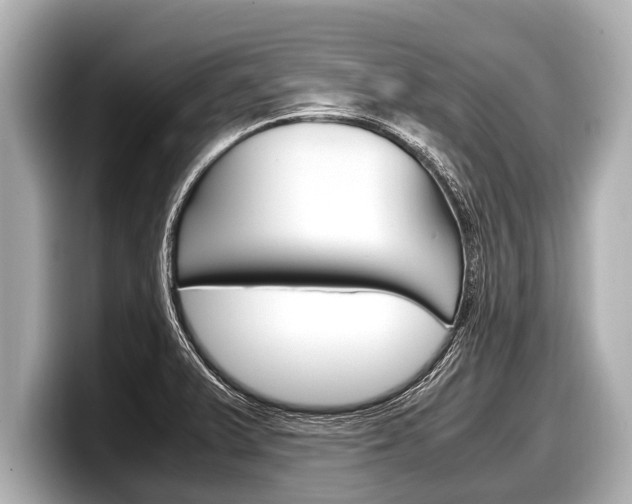 X0000098221375200804241124