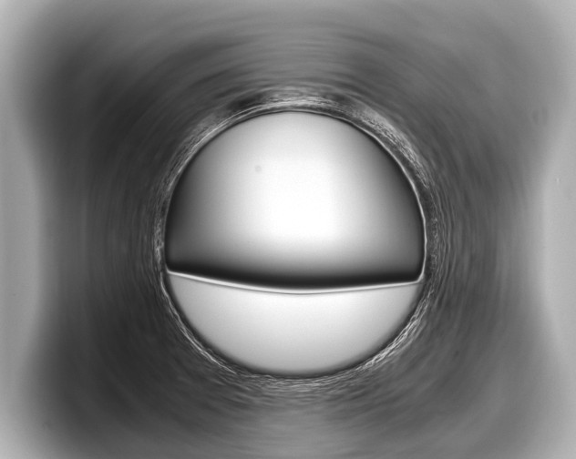 X0000098221377200804241124