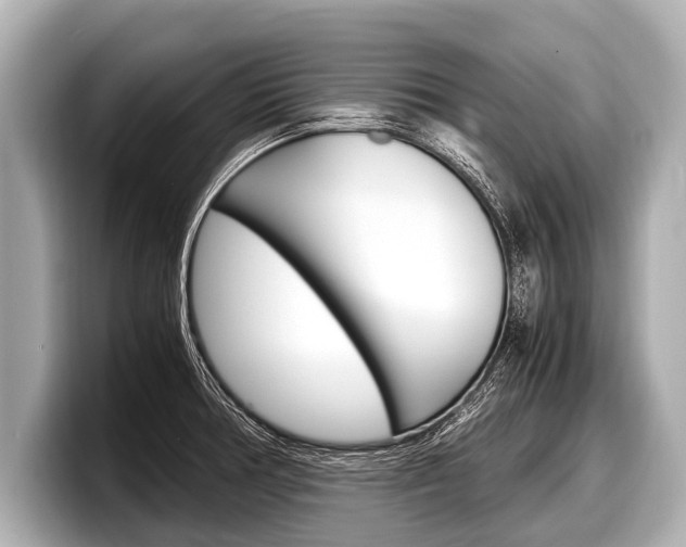 X0000098221378200804241124