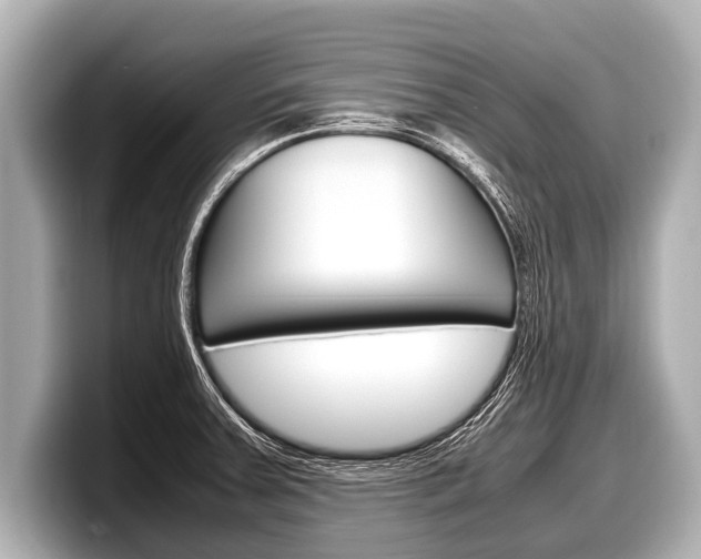 X0000098221379200804241124