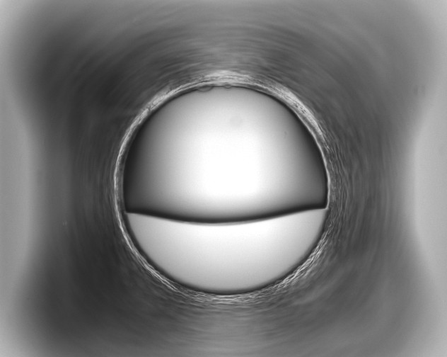 X0000098221381200804241124