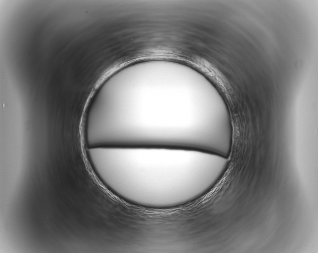 X0000098221382200804241124