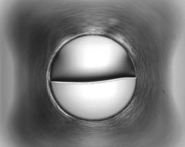 X0000098221383200804241124