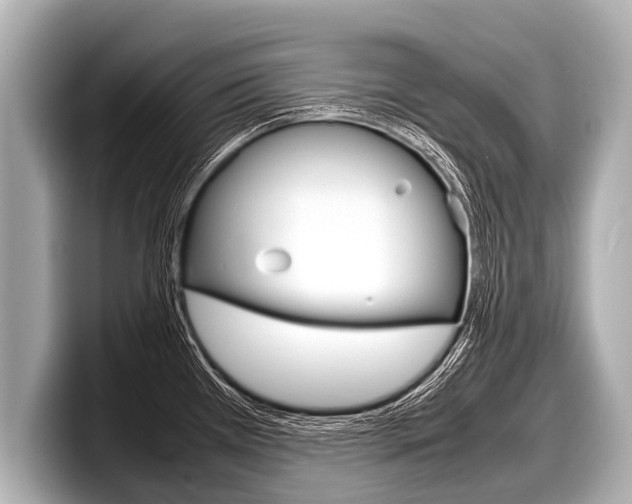 X0000098221385200804241124