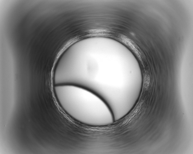 X0000098221386200804241124