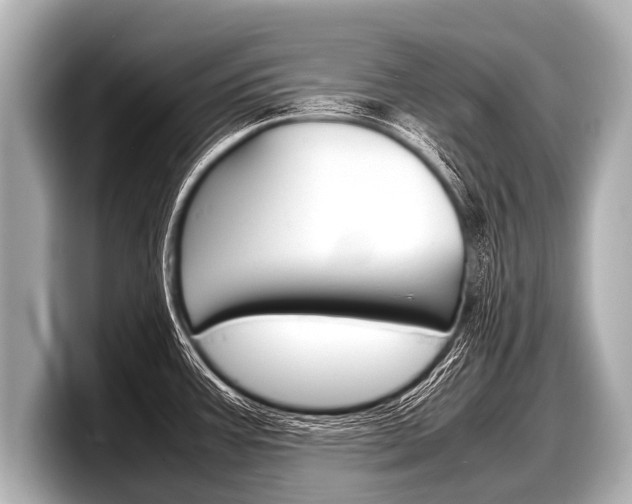 X0000098221387200804241124