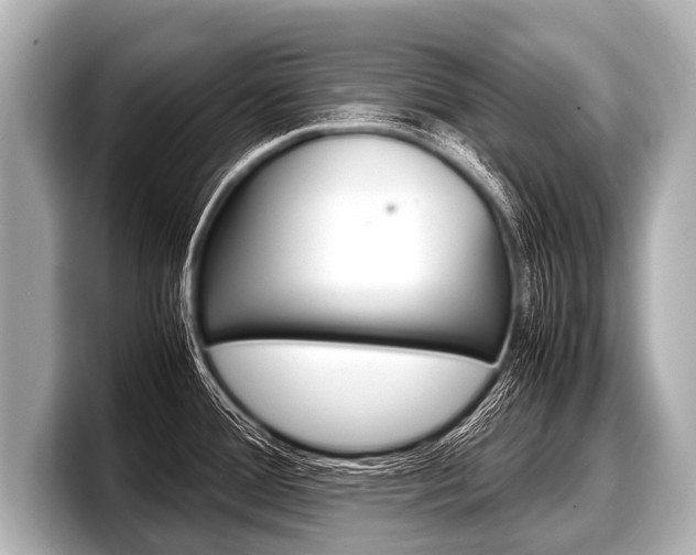 X0000098221388200804241124