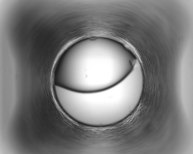 X0000098221389200804241124