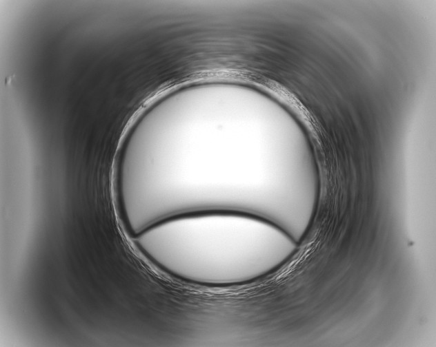 X0000098221390200804241124