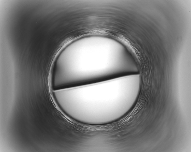 X0000098221391200804241124