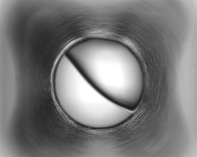 X0000098221392200804241124