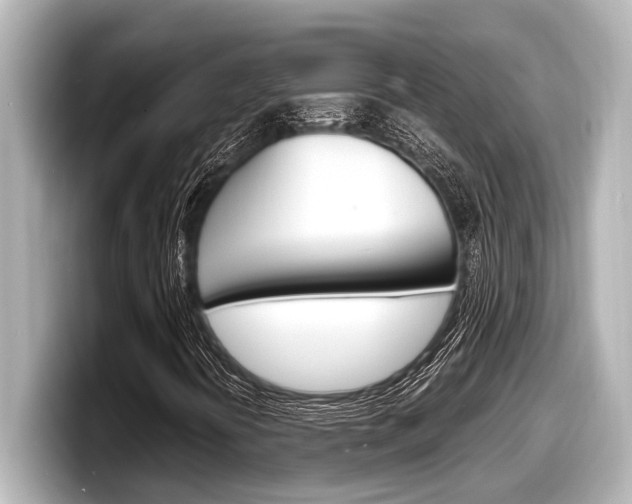 X0000098221394200804241123