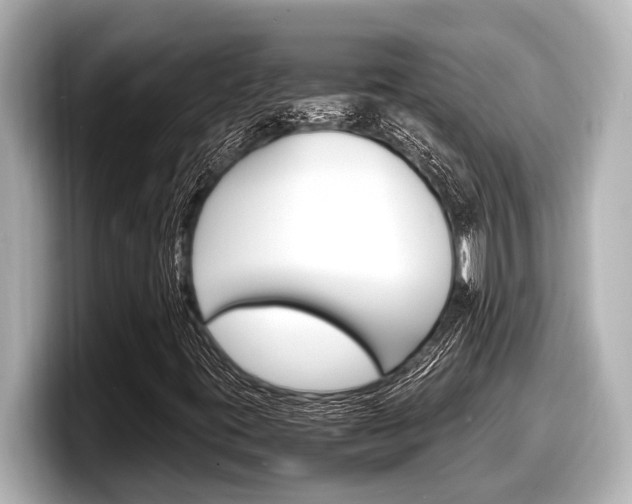 X0000098221395200804241123