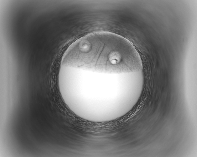 X0000098221398200804241123