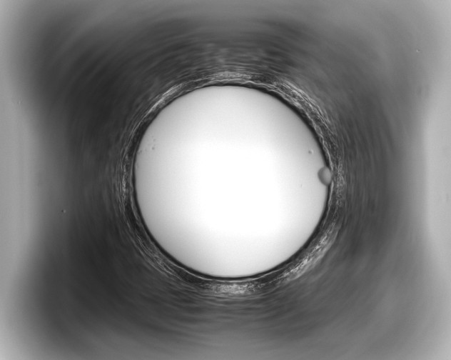 X0000098221401200804241123