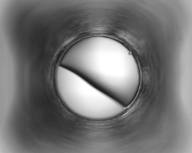 X0000098221402200804241123