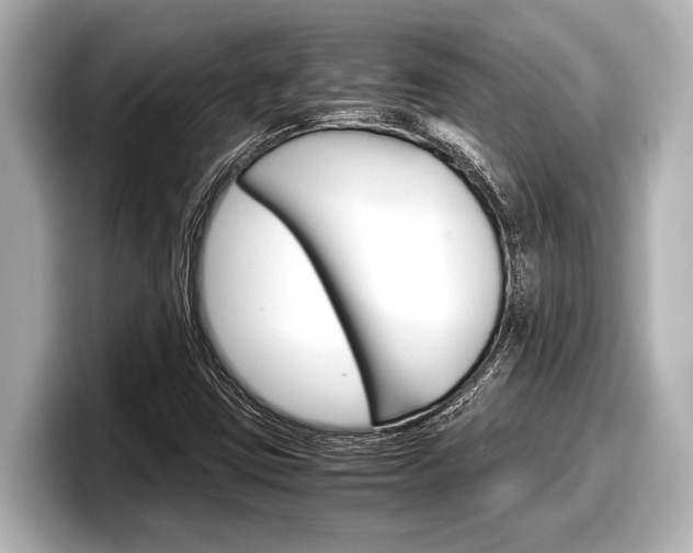 X0000098221403200804241123