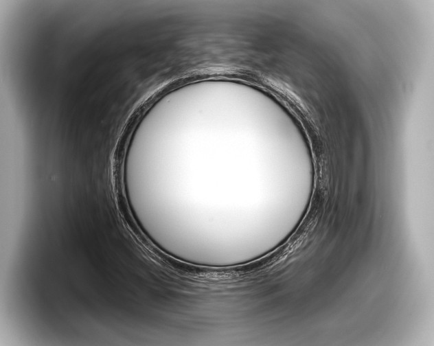 X0000098221404200804241123