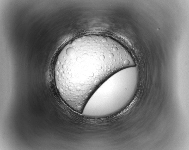 X0000098221405200804241123