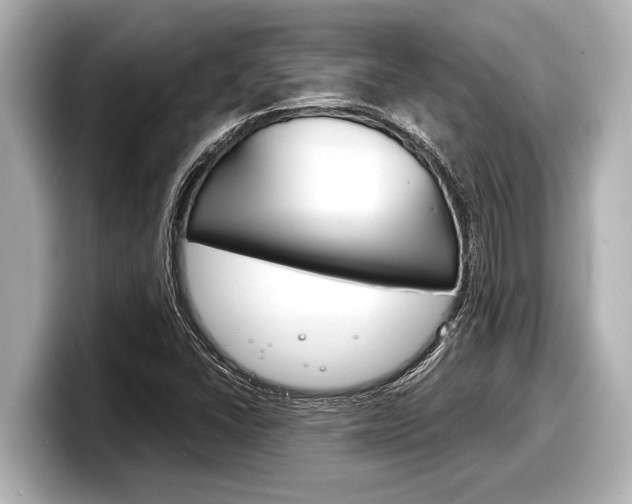 X0000098221406200804241123