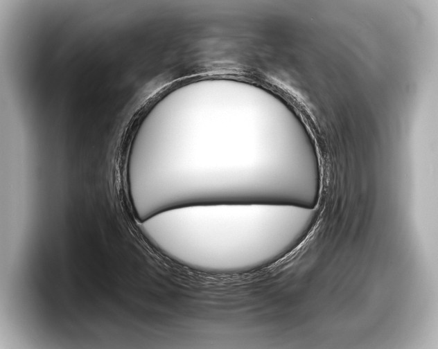 X0000098221407200804241123