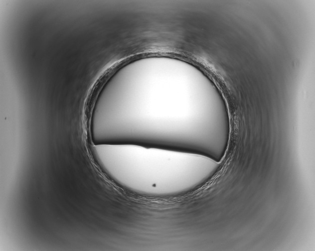 X0000098221408200804241123