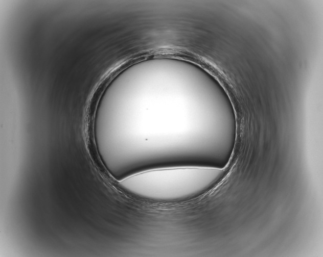 X0000098221410200804241124
