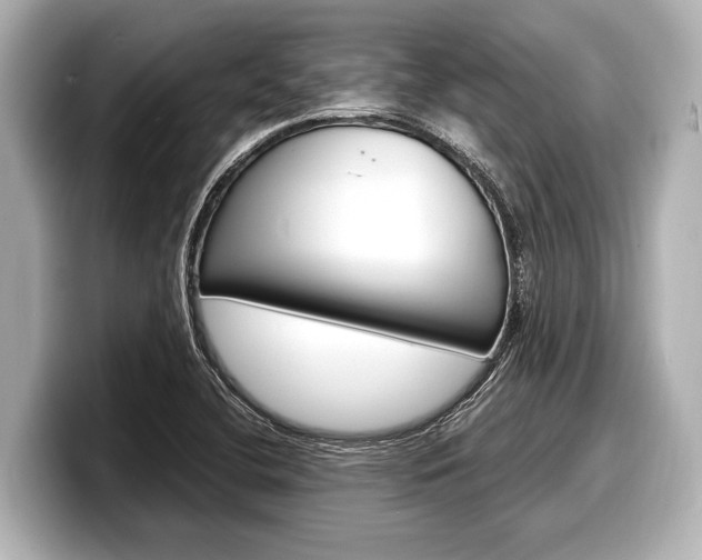X0000098221412200804241124