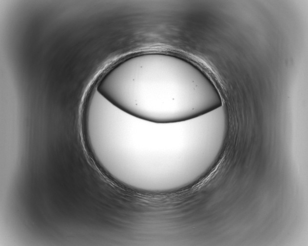 X0000098221414200804241124