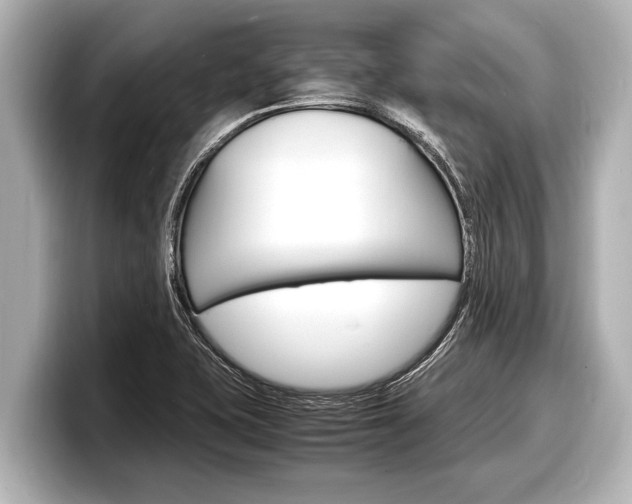 X0000098221415200804241124