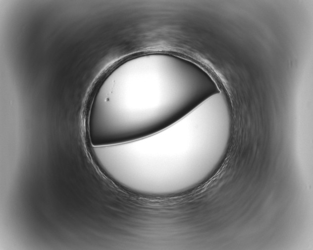 X0000098221416200804241124