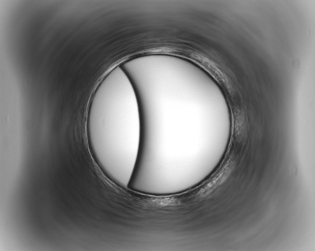 X0000098221417200804241124