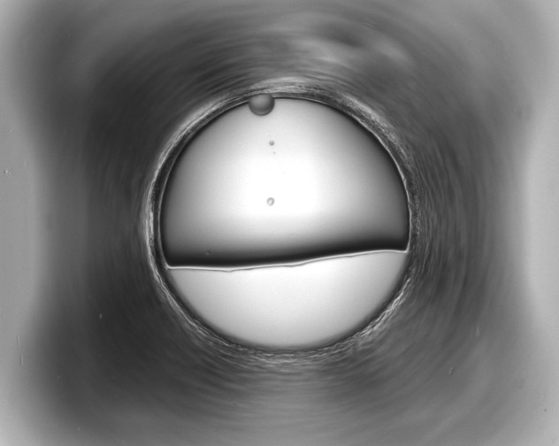 X0000098221418200804241124