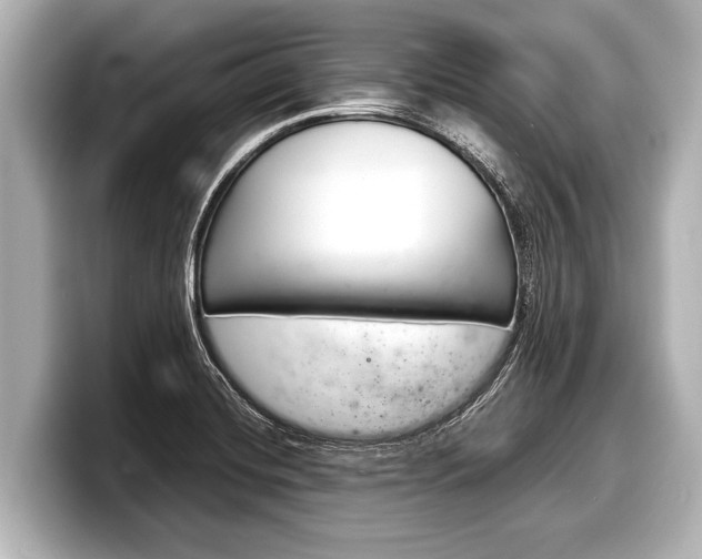 X0000098221420200804241124