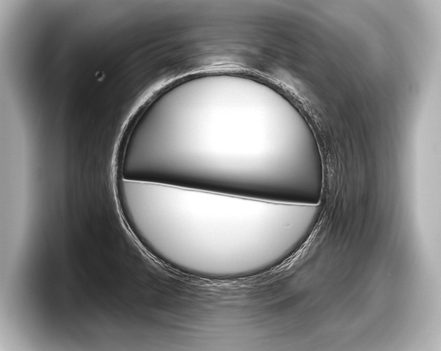 X0000098221422200804241124
