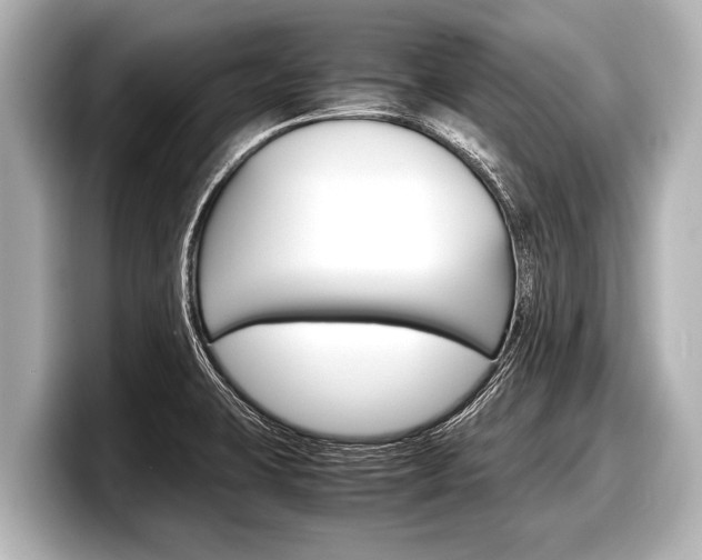 X0000098221423200804241124