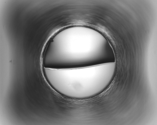 X0000098221424200804241124