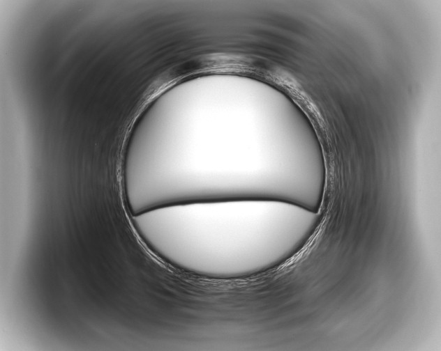 X0000098221425200804241124