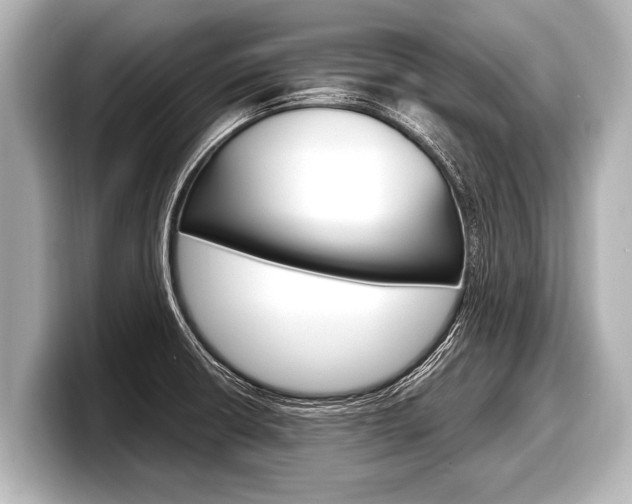 X0000098221426200804241124
