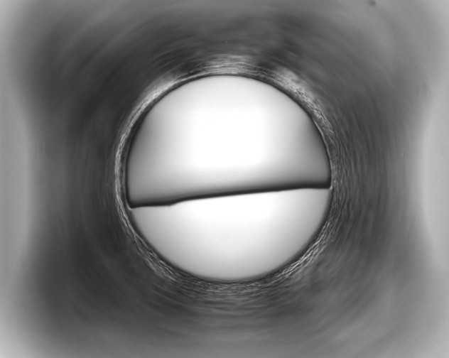 X0000098221427200804241124