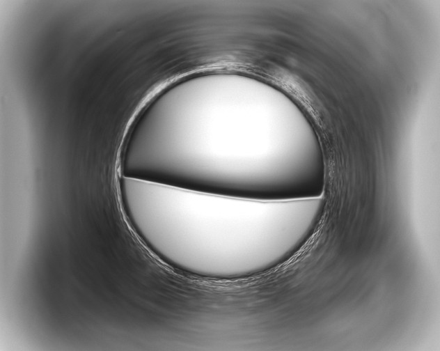 X0000098221428200804241124