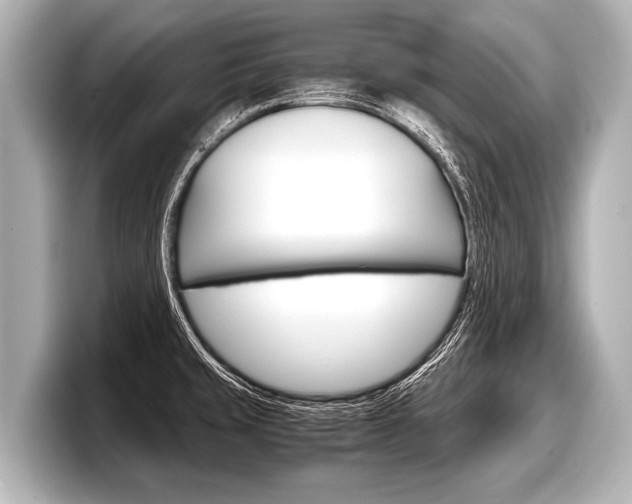 X0000098221429200804241124