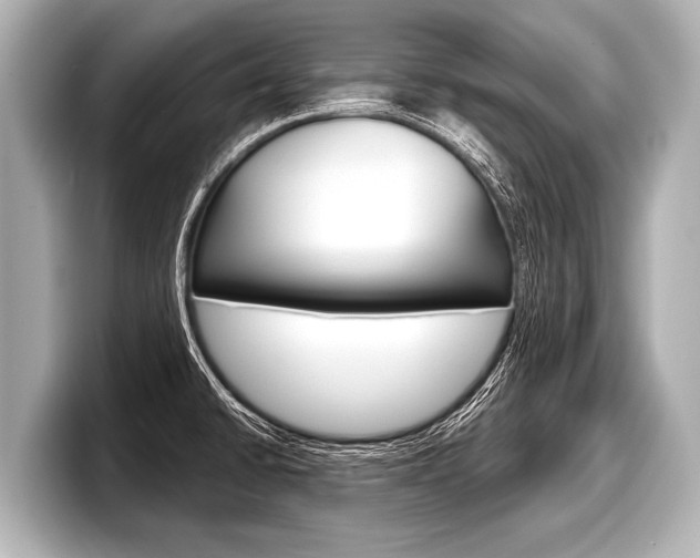 X0000098221430200804241124